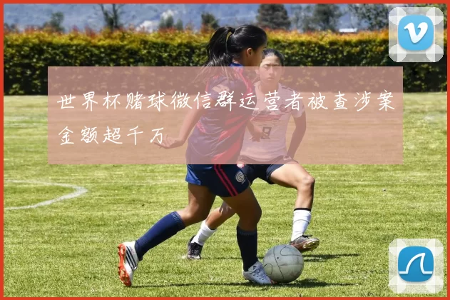 世界杯赌球微信群运营者被查涉案金额超千万